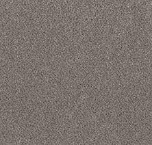 Shaw Floors Value Collections Basic Mix Wt Burnished Silver 0500B_5E547