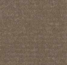 Shaw Floors Value Collections Basic Mix Wt Metro Gray 0506A_5E547