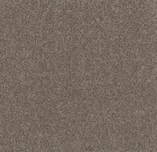 Shaw Floors Value Collections Basic Mix Wt Anthracite 0721A_5E547