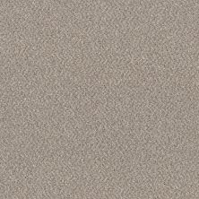 Shaw Floors Value Collections Mix’d Essentials Wt Sandstone(t) 00100_5E548