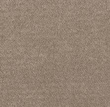 Shaw Floors Value Collections Mix’d Essentials Wt Sunkissed(t) 00104_5E548