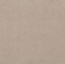 Shaw Floors Value Collections Live On Comfort Net Natural Blonde 00143_5E551