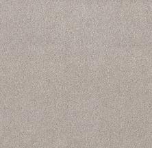 Shaw Floors Value Collections Live On Comfort Net Brushed Aluminum 00148_5E551