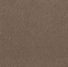 Shaw Floors Value Collections Live On Comfort Net Classic Caramel 00740_5E551