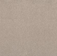 Shaw Floors Value Collections Live On Comfort Net Warm Sand 00763_5E551