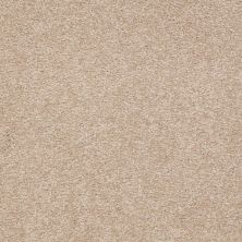 Shaw Floors Value Collections Sandy Hollow Classic Iv 15' Ne Adobe