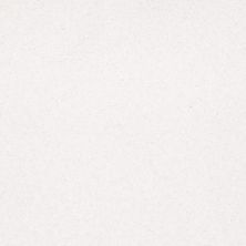 Shaw Floors Value Collections Sandy Hollow Classic Iv 15' Ne Sweet Cream