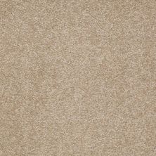 Shaw Floors Value Collections Sandy Hollow Classic Iv 15' Ne Sahara