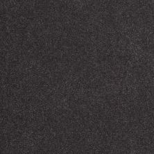 Shaw Floors Value Collections Sandy Hollow Classic Iv 15' Ne Dutch Boy