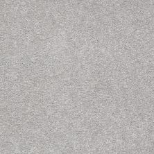 Shaw Floors Value Collections Sandy Hollow Classic Iv 15' Ne Silver Charm