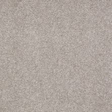 Shaw Floors Value Collections Sandy Hollow Classic Iv 15' Ne London Fog