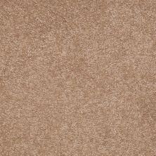 Shaw Floors Value Collections Sandy Hollow Classic Iv 15' Ne Muffin