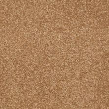 Shaw Floors Value Collections Sandy Hollow Classic Iv 15' Ne Peanut Brittle