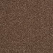 Shaw Floors Value Collections Sandy Hollow Classic Iv 15' Ne Wooden Box