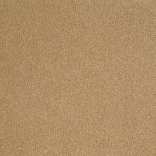 Shaw Floors Value Collections Sandy Hollow Classic Iv 15' Ne Cork