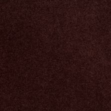 Shaw Floors Value Collections Sandy Hollow Classic Iv 15' Ne Rouge Red