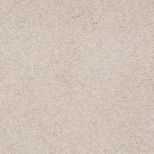 Shaw Floors Value Collections Sandy Hollow Classic I 15′ Net Oatmeal 00104_5E553