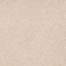Shaw Floors Value Collections Sandy Hollow Classic I 15′ Net Cashew 00106_5E553