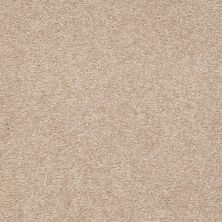 Shaw Floors Value Collections Sandy Hollow Classic I 15′ Net Adobe 00108_5E553