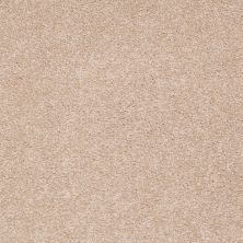 Shaw Floors Value Collections Sandy Hollow Classic I 15′ Net Stucco 00110_5E553