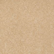Shaw Floors Value Collections Sandy Hollow Classic I 15′ Net Cornfield 00202_5E553