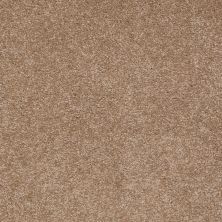 Shaw Floors Value Collections Sandy Hollow Classic I 15′ Net Mojave 00301_5E553