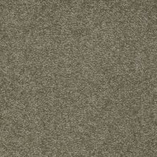 Shaw Floors Value Collections Sandy Hollow Classic I 15′ Net Alpine Fern 00305_5E553