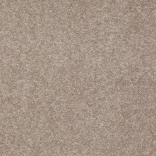 Shaw Floors Value Collections Sandy Hollow Classic I 15′ Net Chinchilla 00306_5E553