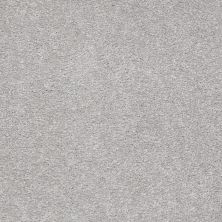 Shaw Floors Value Collections Sandy Hollow Classic I 15′ Net Silver Charm 00500_5E553