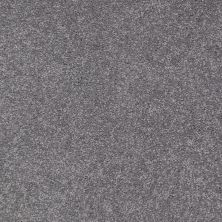 Shaw Floors Value Collections Sandy Hollow Classic I 15′ Net Slate 00502_5E553