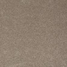 Shaw Floors Value Collections Sandy Hollow Classic I 15′ Net Wood Smoke 00520_5E553