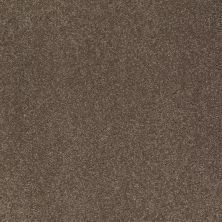 Shaw Floors Value Collections Sandy Hollow Classic I 15′ Net Castle Rock 00521_5E553