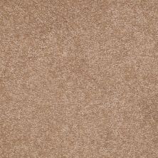 Shaw Floors Value Collections Sandy Hollow Classic I 15′ Net Muffin 00700_5E553
