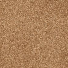 Shaw Floors Value Collections Sandy Hollow Classic I 15′ Net Peanut Brittle 00702_5E553