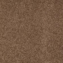 Shaw Floors Value Collections Sandy Hollow Classic I 15′ Net Pine Cone 00703_5E553