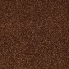 Shaw Floors Value Collections Sandy Hollow Classic I 15′ Net Tortoise Shell 00707_5E553