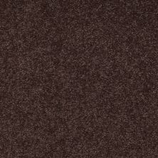 Shaw Floors Value Collections Sandy Hollow Classic I 15′ Net Tundra 00708_5E553