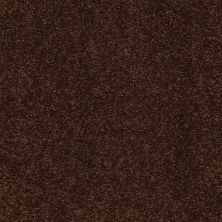 Shaw Floors Value Collections Sandy Hollow Classic I 15′ Net Coffee Bean 00711_5E553