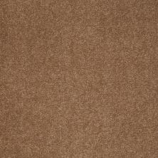 Shaw Floors Value Collections Sandy Hollow Classic I 15′ Net Windmill 00720_5E553