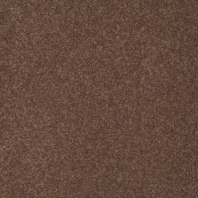 Shaw Floors Value Collections Sandy Hollow Classic I 15′ Net Wooden Box 00721_5E553