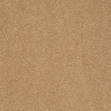 Shaw Floors Value Collections Sandy Hollow Classic I 15′ Net Cork 00722_5E553
