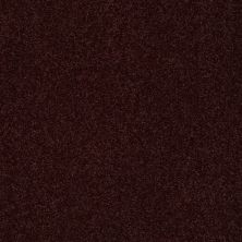 Shaw Floors Value Collections Sandy Hollow Classic I 15′ Net Rouge Red 00820_5E553