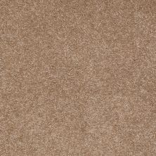 Shaw Floors Value Collections Sandy Hollow Classic II 15 Net Mojave