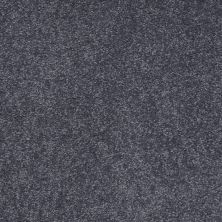 Shaw Floors Value Collections Sandy Hollow Classic II 15 Net Cadet