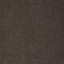 Shaw Floors Value Collections Sandy Hollow Classic II 15 Net Arrowhead