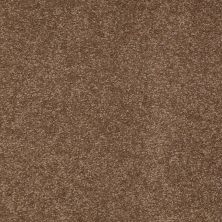 Shaw Floors Value Collections Sandy Hollow Classic II 15 Net Pine Cone