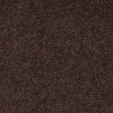 Shaw Floors Value Collections Sandy Hollow Classic II 15 Net Tundra