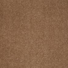 Shaw Floors Value Collections Sandy Hollow Classic II 15 Net Windmill