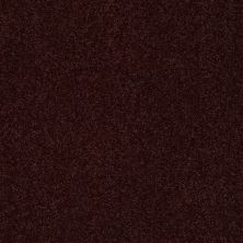 Shaw Floors Value Collections Sandy Hollow Classic II 15 Net Rouge Red