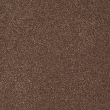 Shaw Floors Value Collections Sandy Hollow Classic III 15 Ne Wooden Box